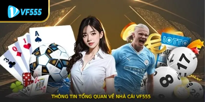 Thông tin tổng quan về nhà cái VF555